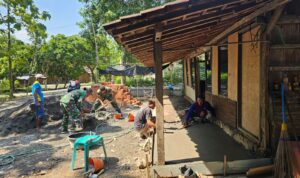 IMG-20251201-WA0011(1)