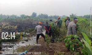 IMG-20260827-WA0047